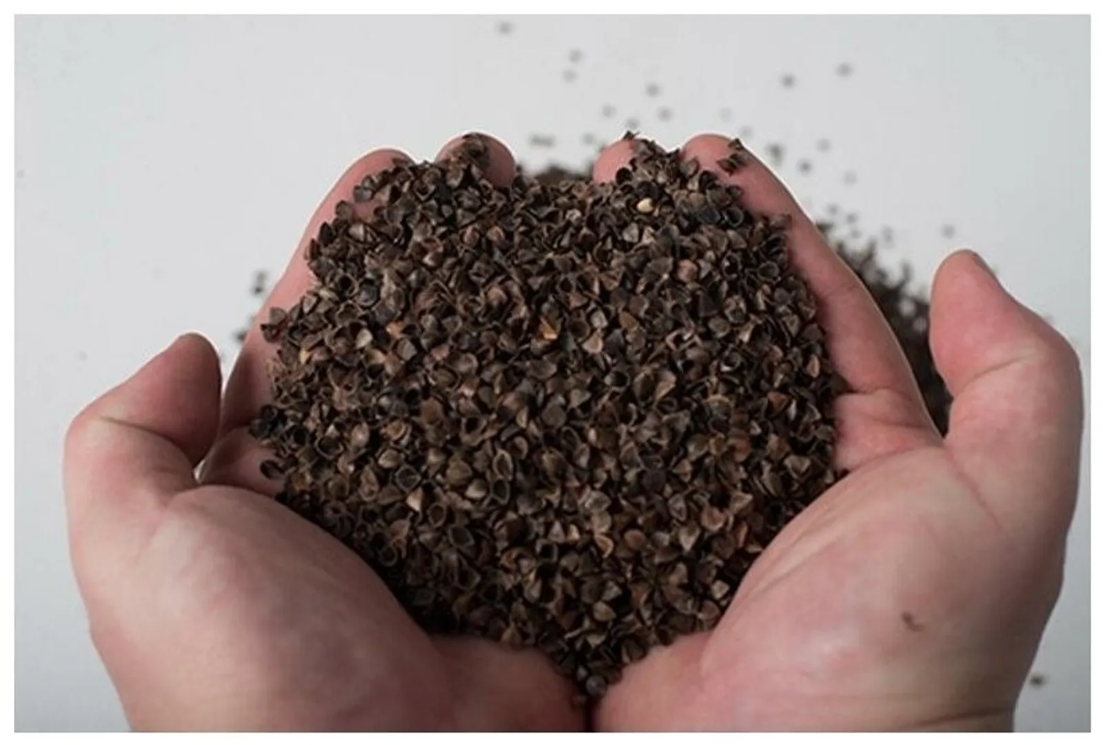 Башкирия продала Китаю шелуху