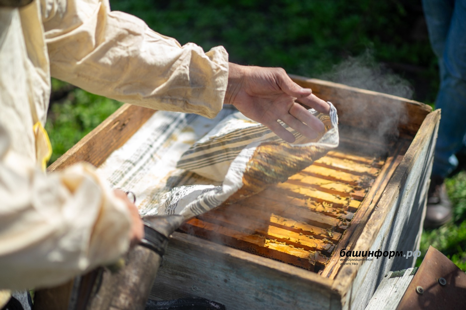 В Башкирии стартовала операция «Пчела»