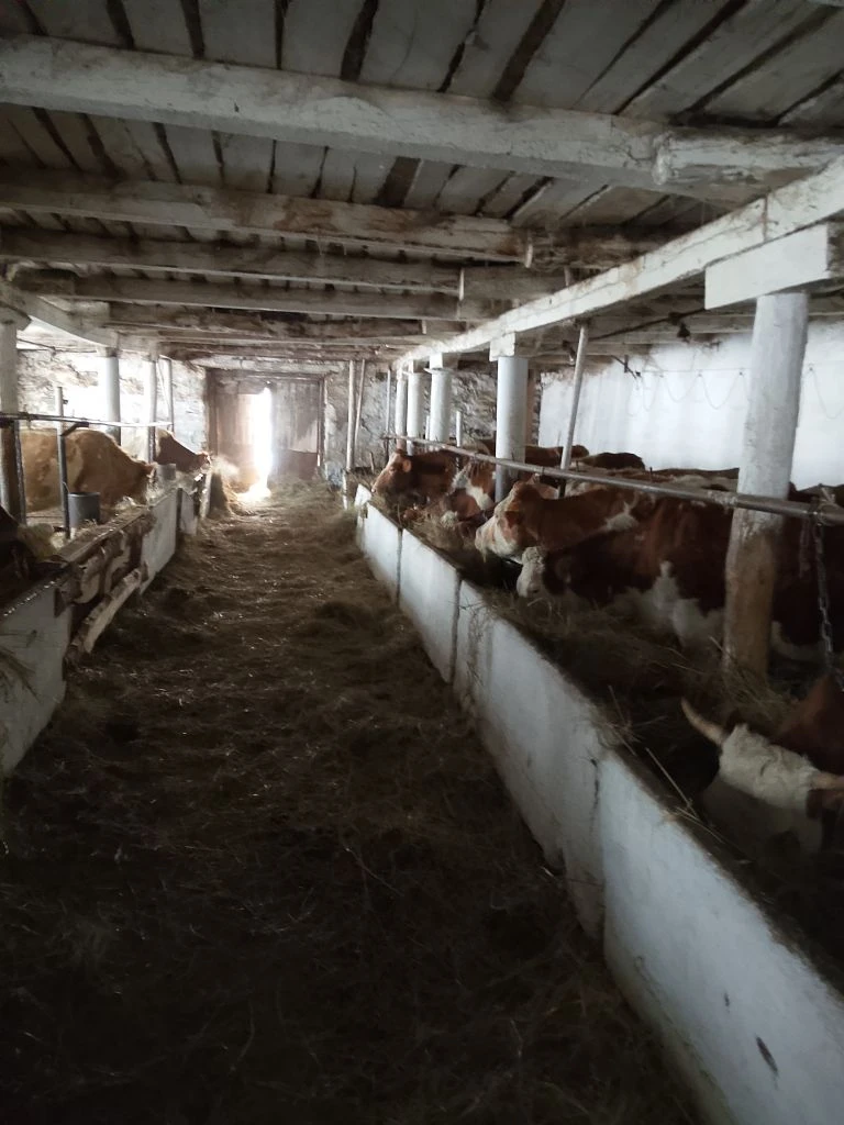 В миякинском «Урале»  – ответственный период