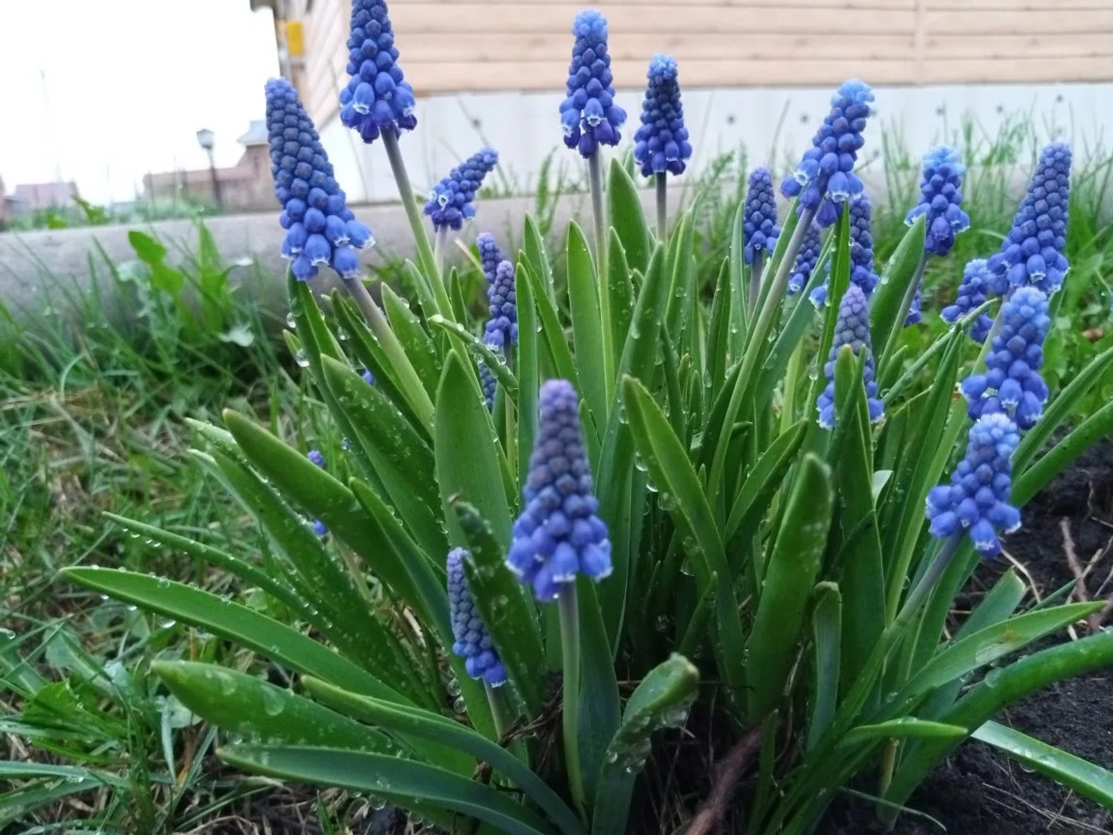 И снова +20°: жителей Башкирии ждет очередное потепление