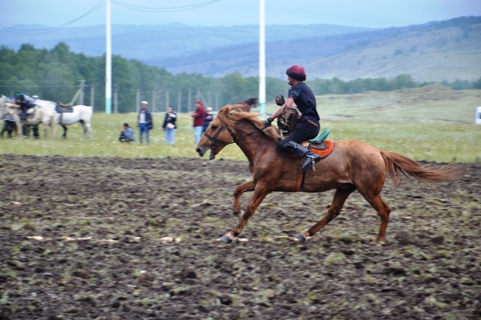 Жительница Гафурийского района: «Для башкирского народа лошадь священна»