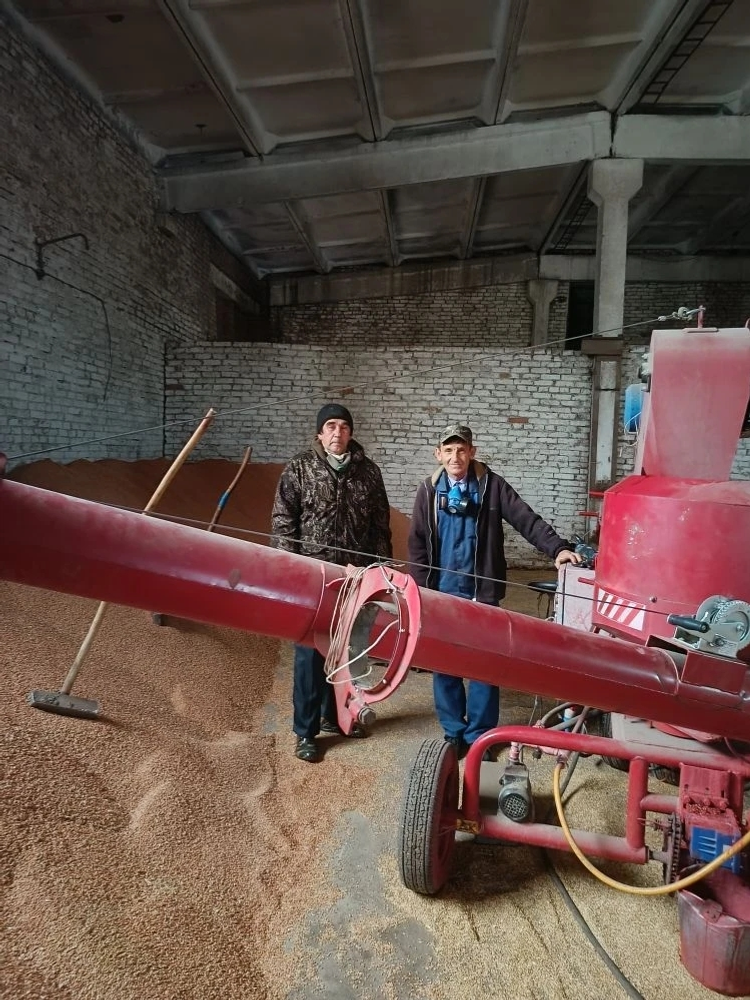 Качественные семена – основа урожая