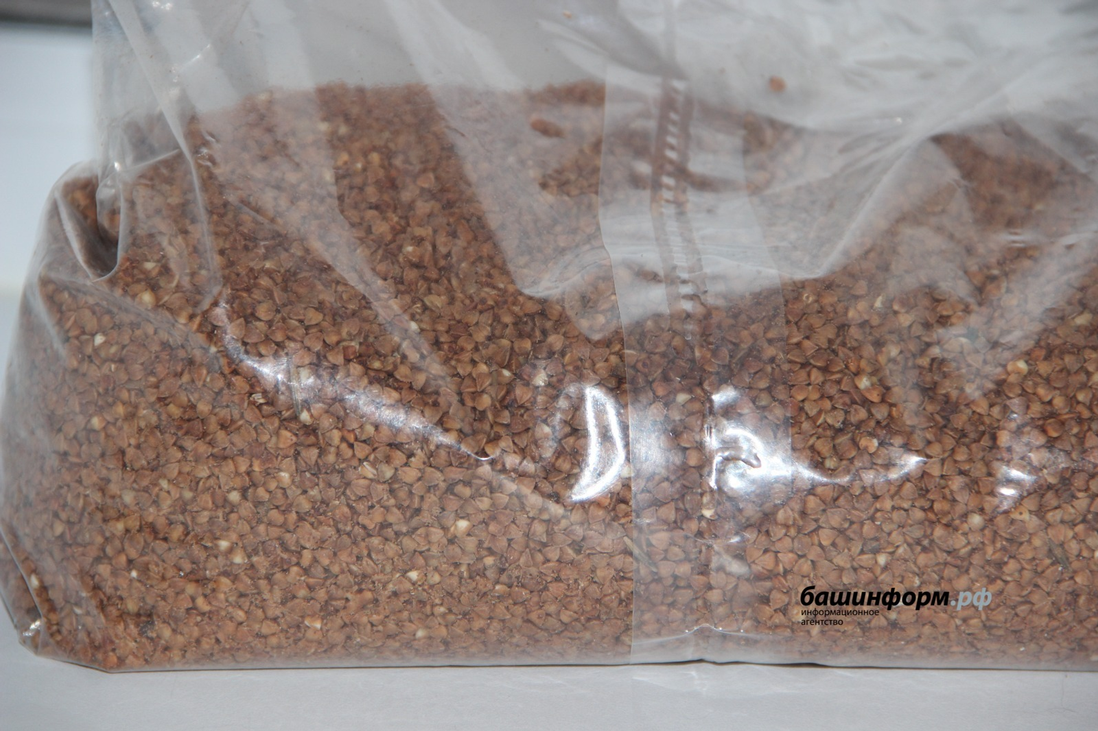 Россия вдвое увеличила экспорт гречихи