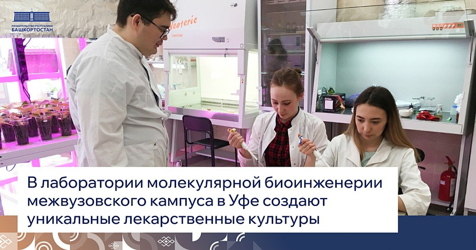 В IQ-парке Межвузовского студенческого кампуса Евразийского НОЦ разместится лаборатория молекулярной биоинженерии УУНиТ