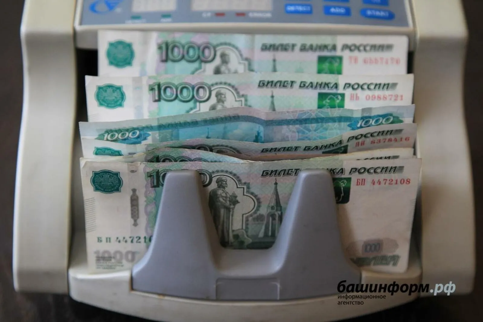 Аграриям Башкирии выдано 10 млрд рублей льготных кредитов