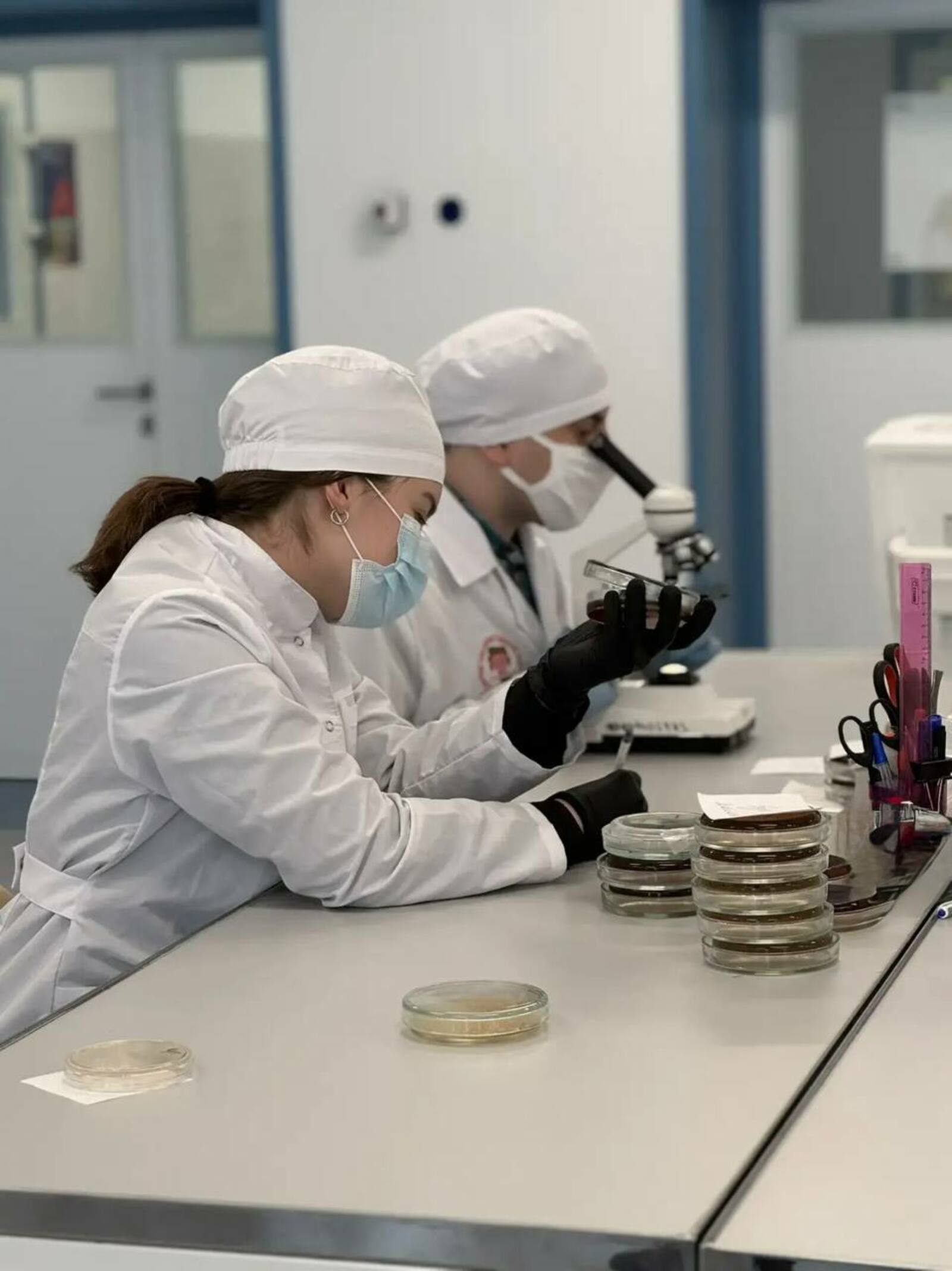 В Уфе создали тест-систему для быстрого поиска «бактерии стройности » у человека