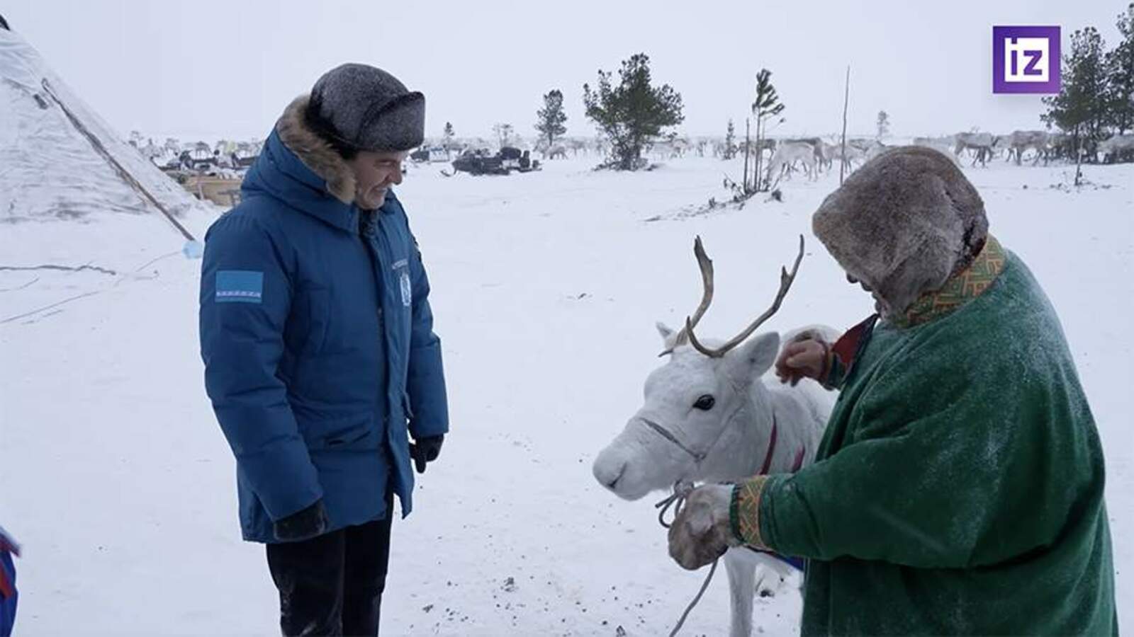 Семья оленеводов с Ямала подарила Путину редкую белую важенку