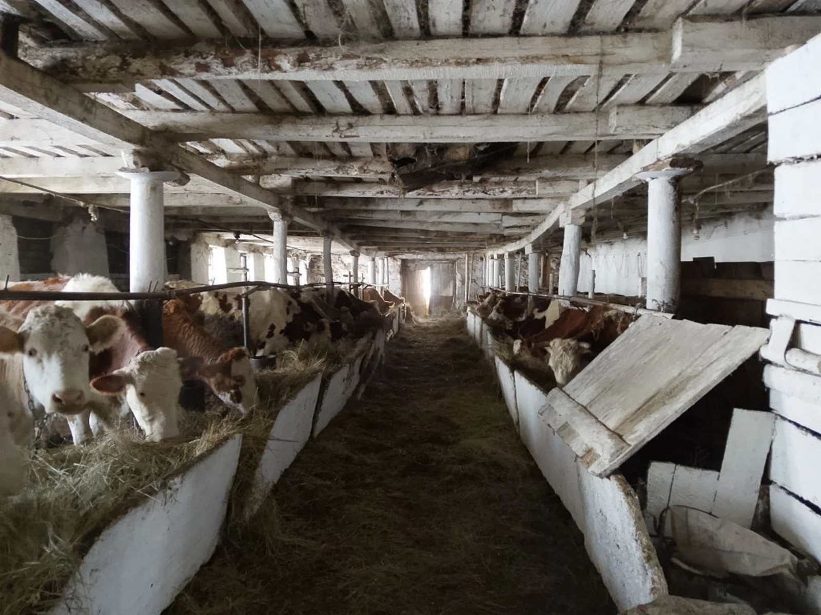 В миякинском «Урале»  – ответственный период