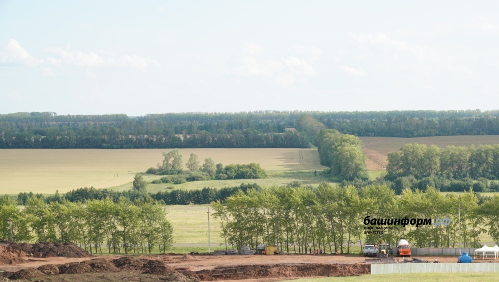 В Башкирии выявили очаг распространения опасного сорняка