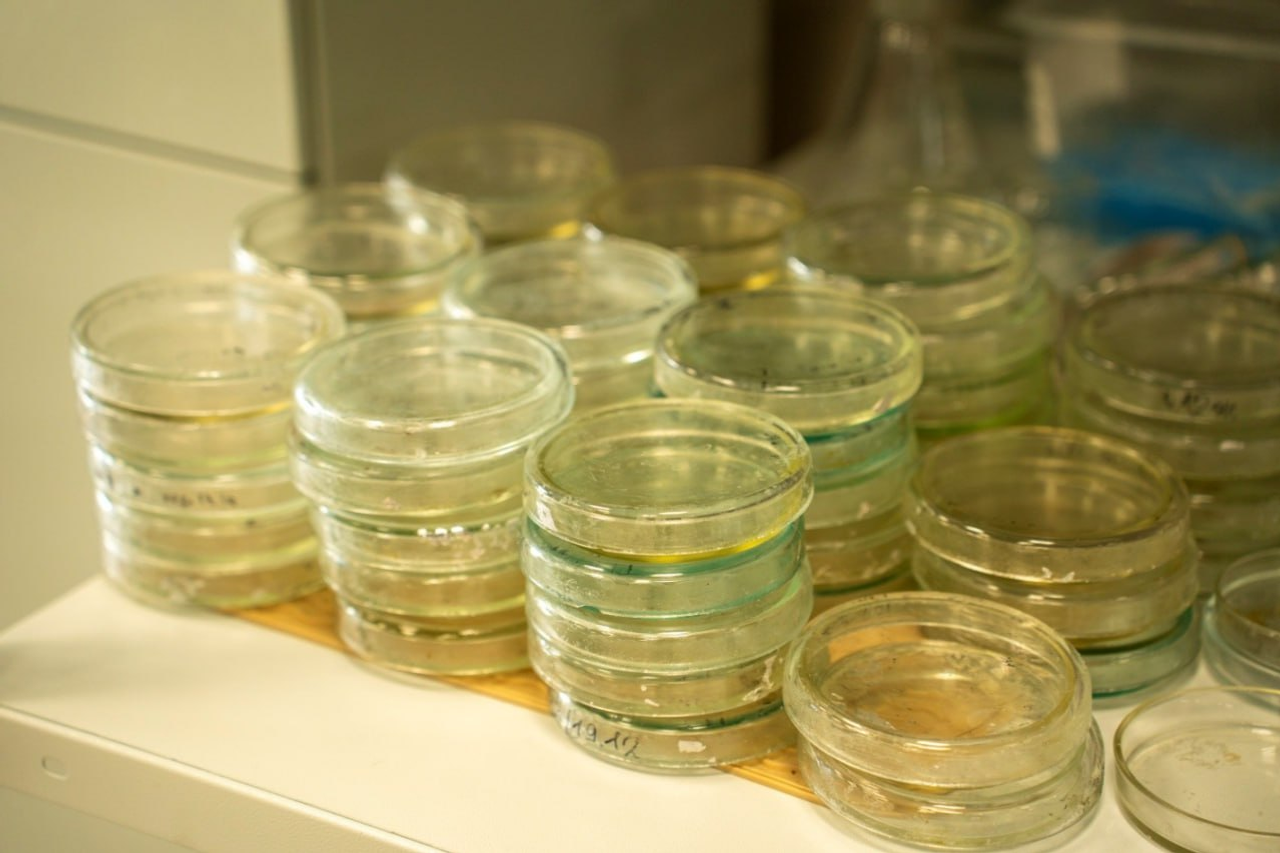 В Межвузовском кампусе Евразийского НОЦ открыли новую лабораторию биотехнологий