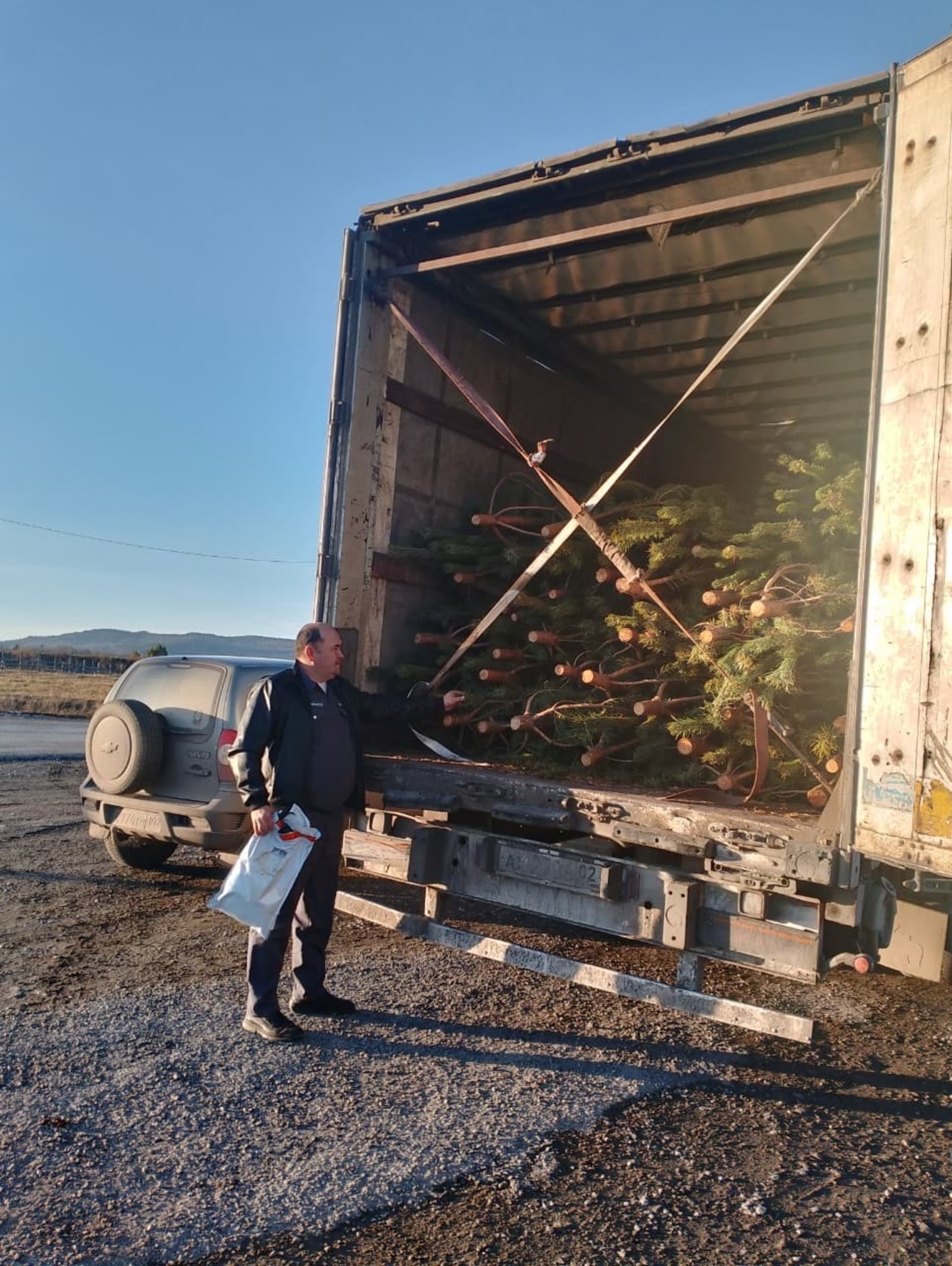 Шаранский район Башкирии экспортировал новогодние ёлки в Казахстан