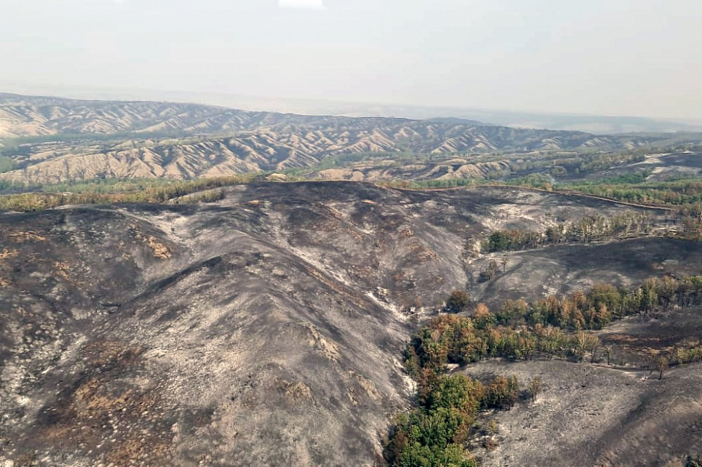Радий Хабиров: Спасибо мужественным людям, которые вторую неделю борются с лесными пожарами