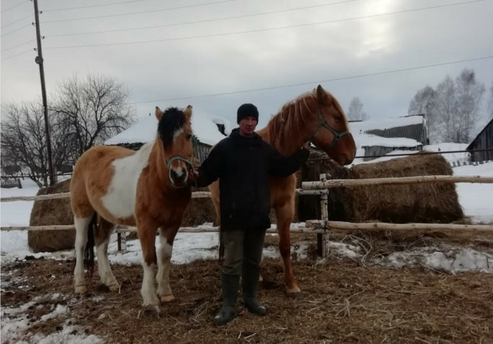 Фермер из Караидельсого района на грант сможет приобрести 30 голов лошадей башкирской породы
