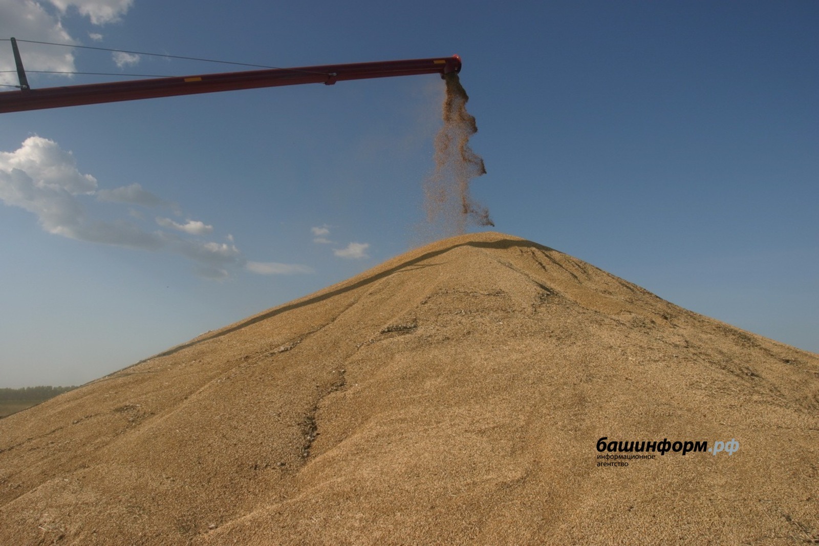 Башкирия накормит Китай, Марокко и Казахстан