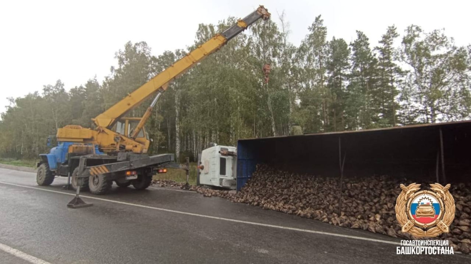 На трассе в Башкирии опрокинулся грузовик с сахарной свеклой
