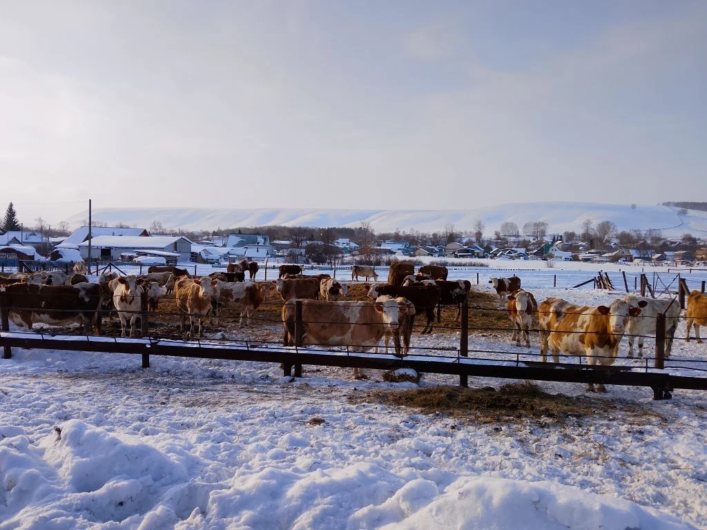 В миякинском «Урале»  – ответственный период