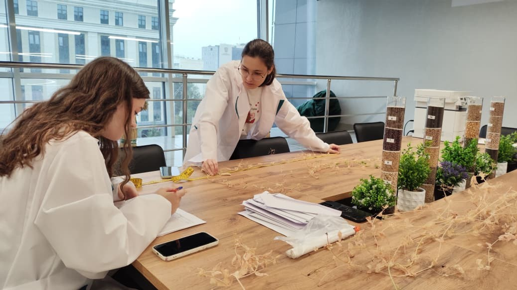 В Межвузовском кампусе Уфы завершен успешный эксперимент по гибридизации гороха