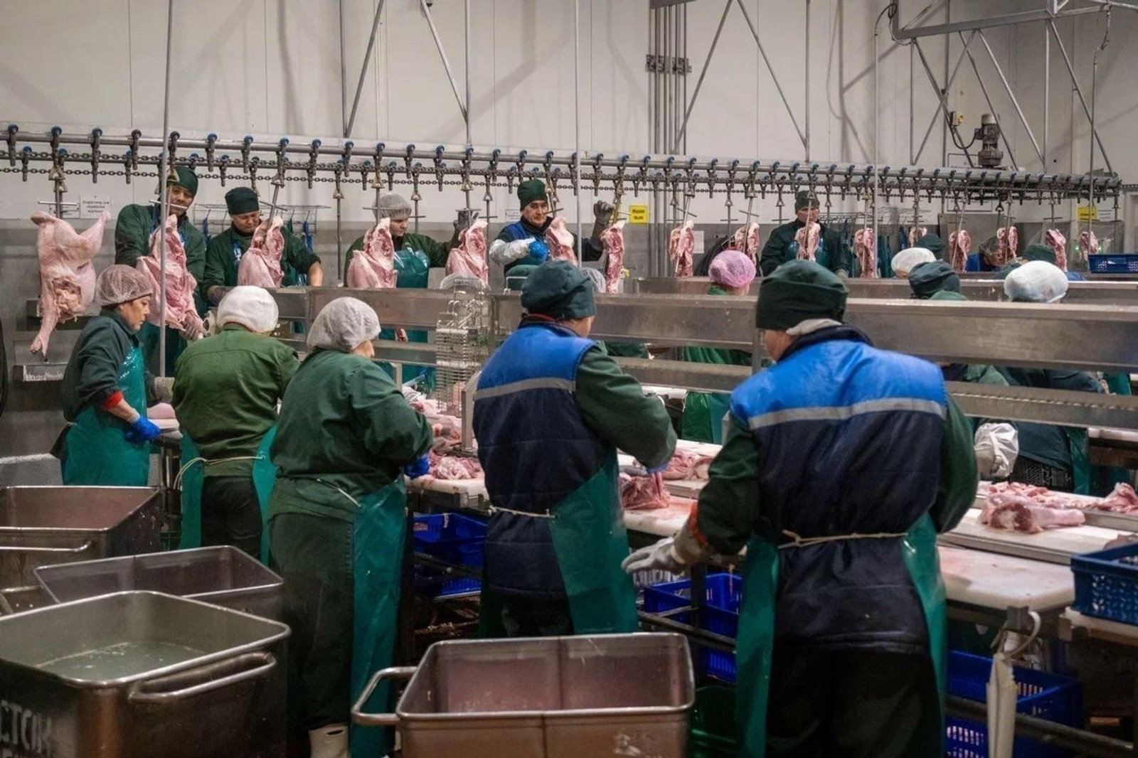 Башкирская индейка «поплыла» в Африку