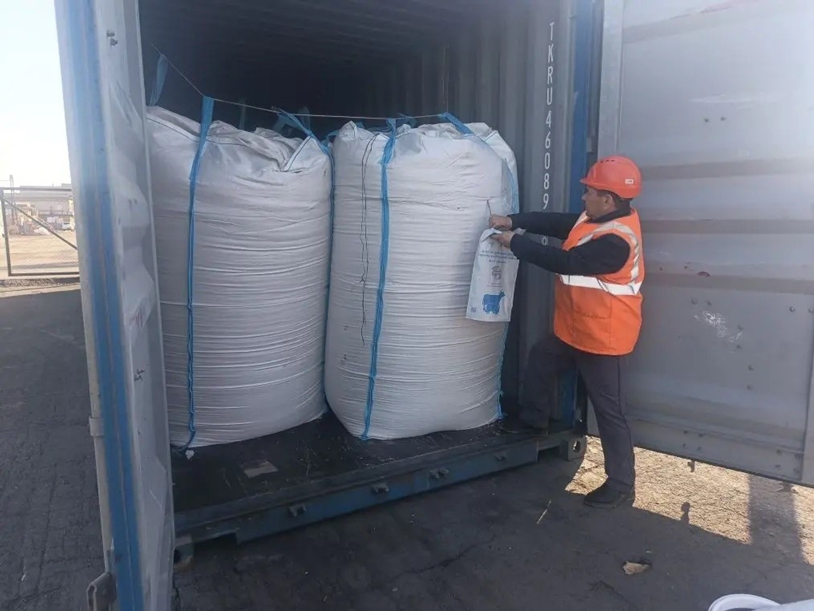 Башкирия впервые экспортировала овес в Китай