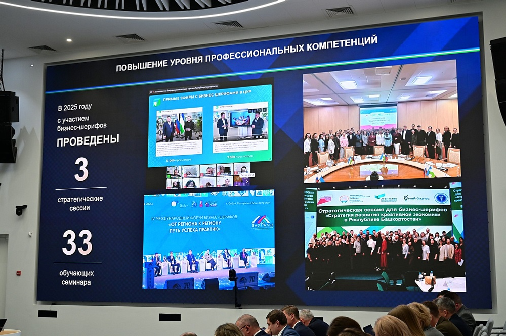 Бизнес-шерифы Башкирии рассмотрели более 4 тысяч предпринимательских проектов