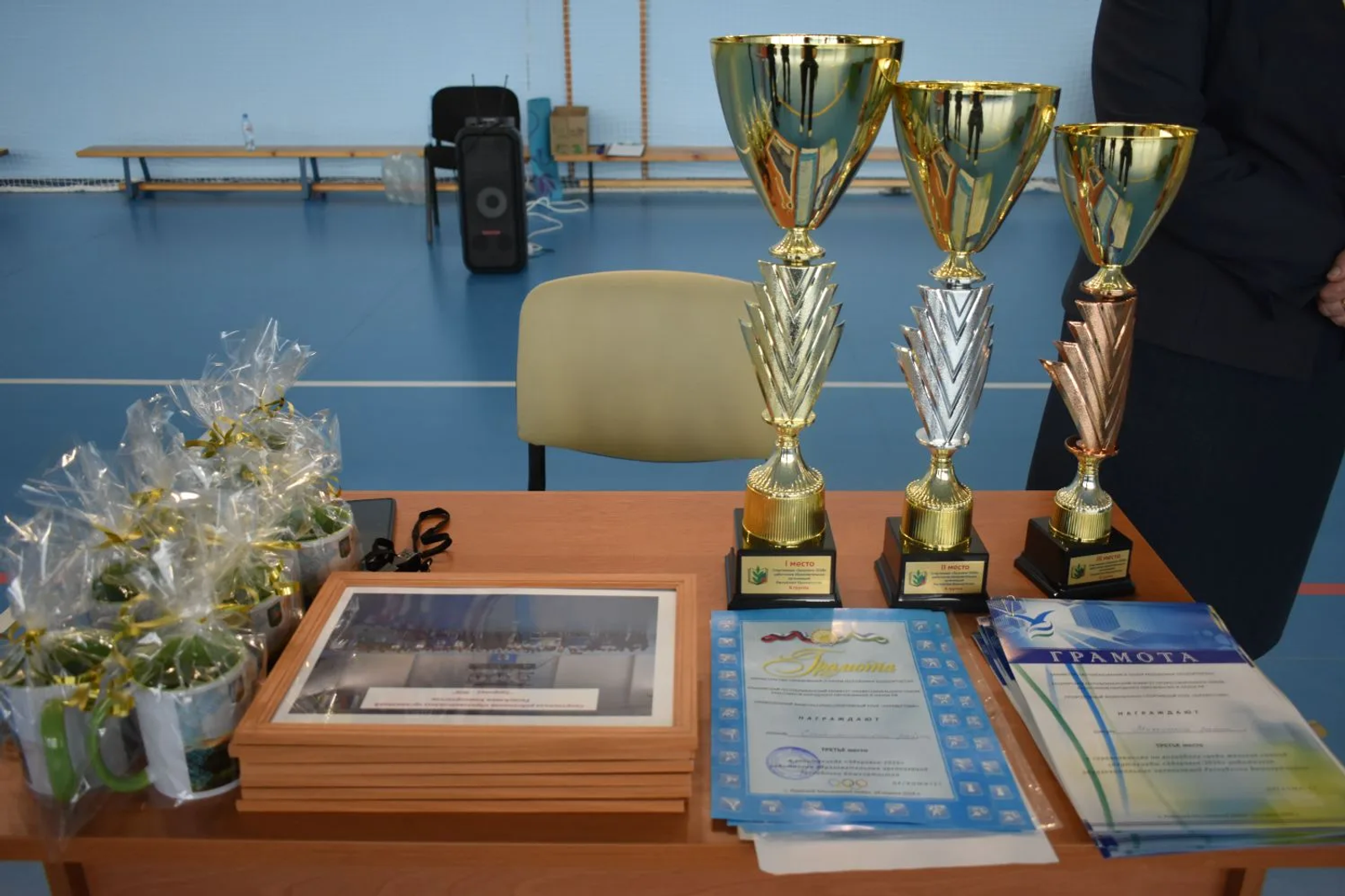 Наши педагоги  на пьедестале