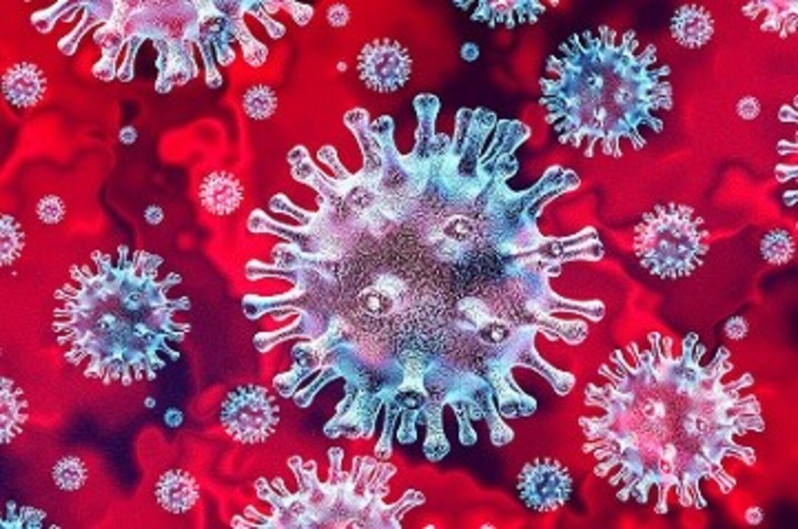 В республике зарегистрирован случай заболевания коронавирусом со штаммом «цербер»