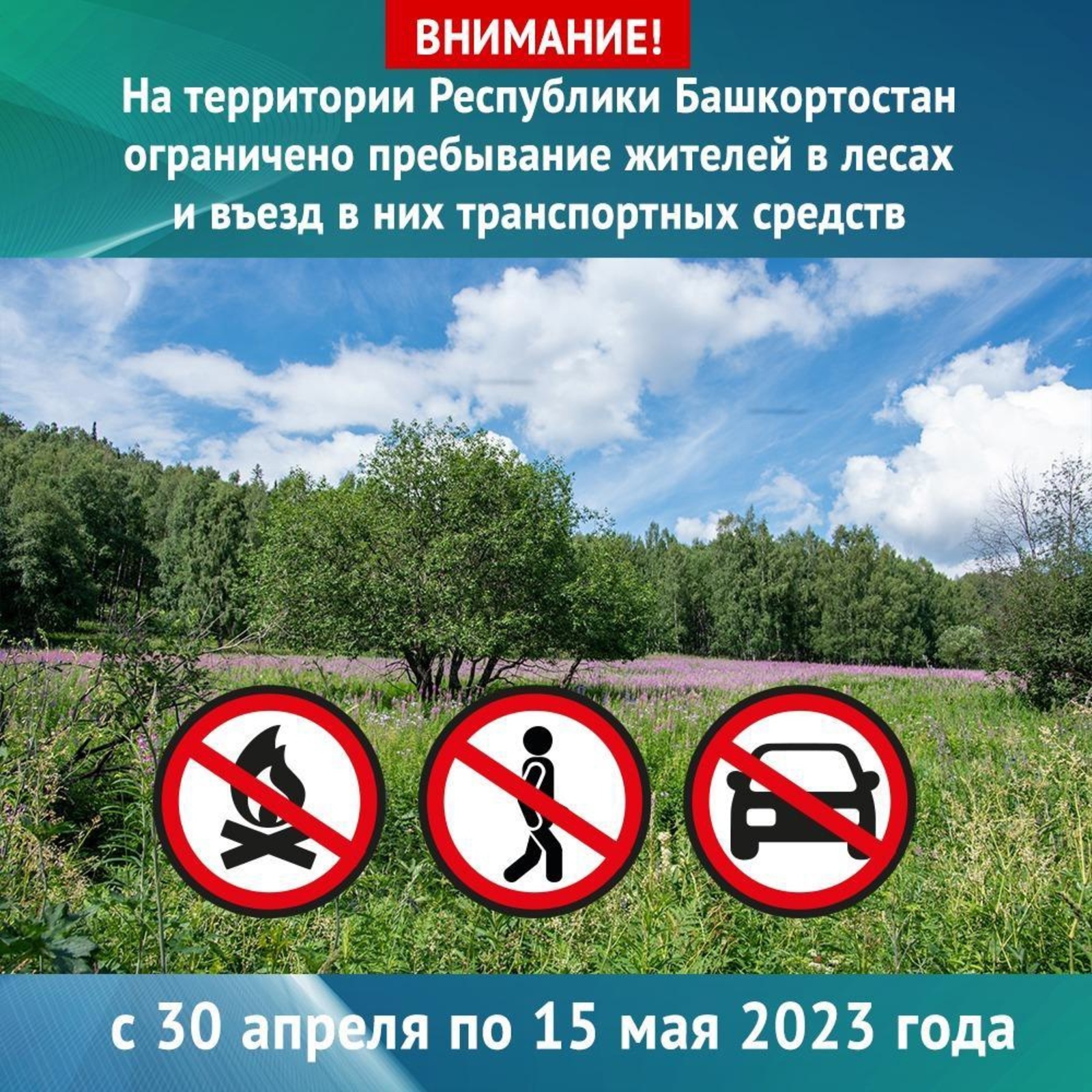 В Башкортостане ввели ограничение на посещение леса